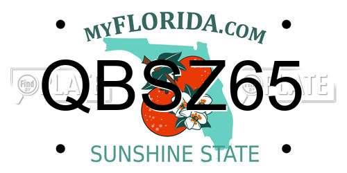 QBSZ65 Florida License Plate