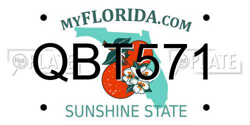 QBT571 Florida License Plate