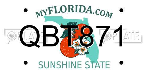 QBT871 Florida License Plate