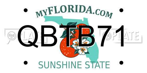 QBTB71 Florida License Plate
