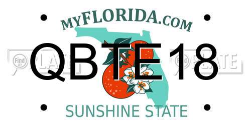 QBTE18 Florida License Plate
