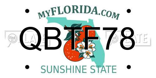 QBTF78 Florida License Plate