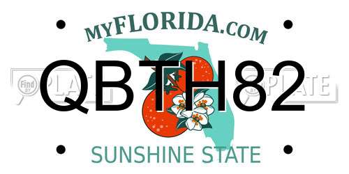 QBTH82 Florida License Plate