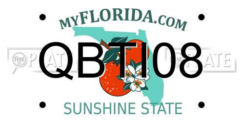 QBTI08 Florida License Plate