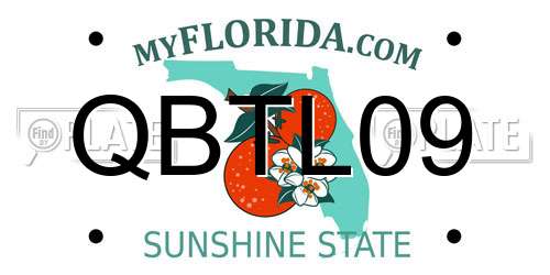 QBTL09 Florida License Plate