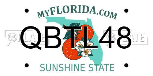 QBTL48 Florida License Plate