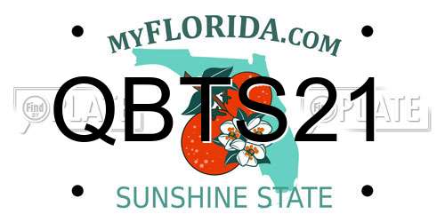 QBTS21 Florida License Plate