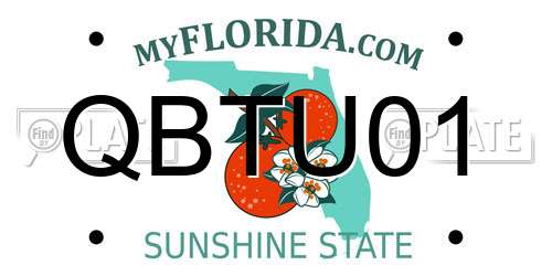 QBTU01 Florida License Plate