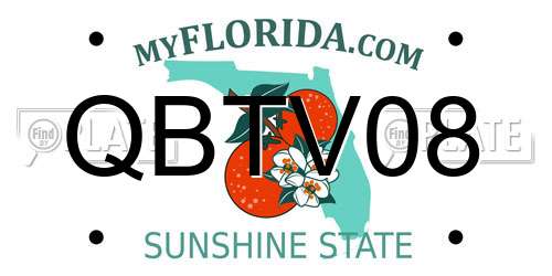 QBTV08 Florida License Plate