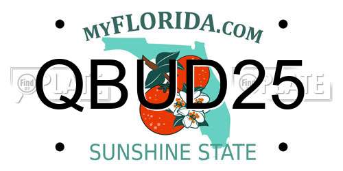 QBUD25 Florida License Plate