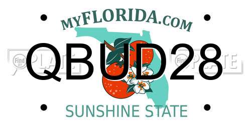 QBUD28 Florida License Plate