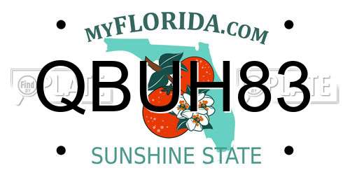 QBUH83 Florida License Plate