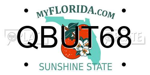 QBUT68 Florida License Plate