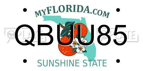 QBUU85 Florida License Plate