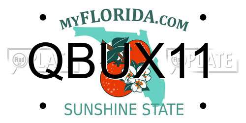 QBUX11 Florida License Plate