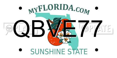 QBVE77 Florida License Plate