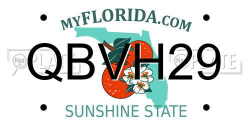 QBVH29 Florida License Plate