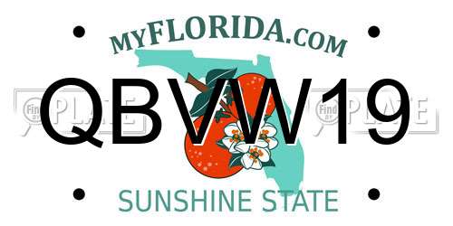 QBVW19 Florida License Plate