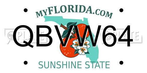 QBVW64 Florida License Plate