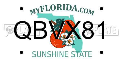 QBVX81 Florida License Plate