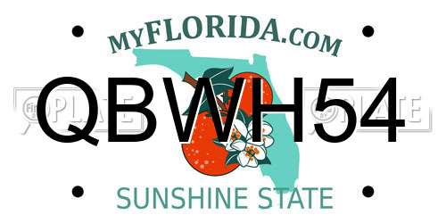 QBWH54 Florida License Plate