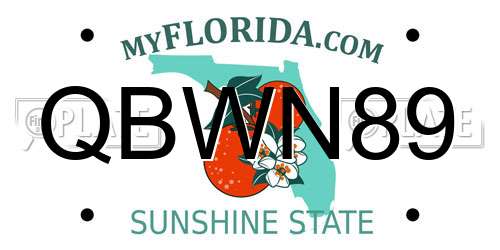 QBWN89 Florida License Plate