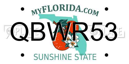 QBWR53 Florida License Plate