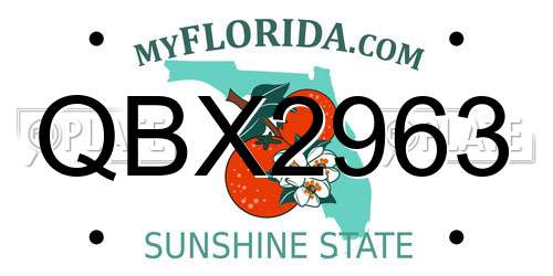 QBX2963 Florida License Plate
