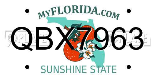 QBX7963 Florida License Plate