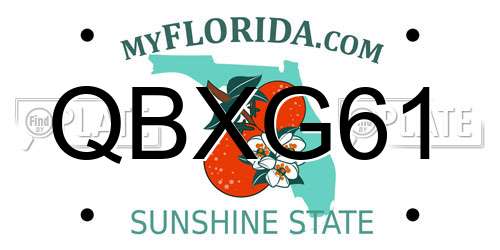 QBXG61 Florida License Plate