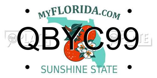QBYC99 Florida License Plate