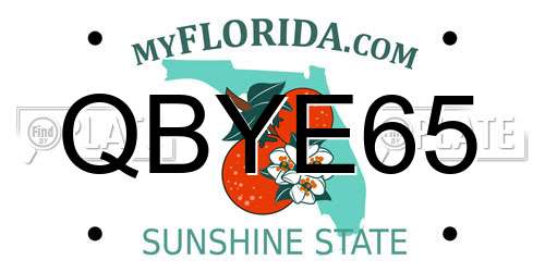 QBYE65 Florida License Plate