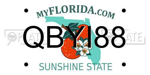 QBYI88 Florida License Plate