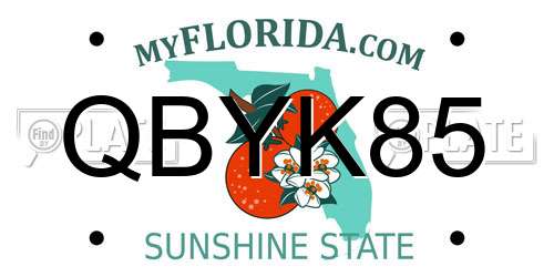 QBYK85 Florida License Plate