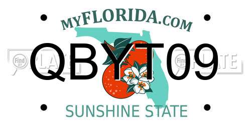 QBYT09 Florida License Plate