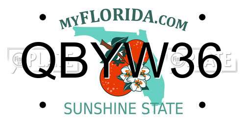 QBYW36 Florida License Plate