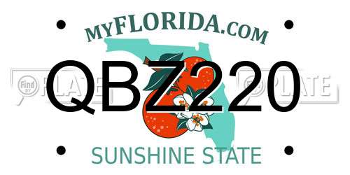 QBZ220 Florida License Plate