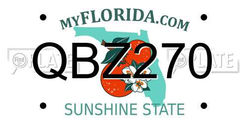 QBZ270 Florida License Plate