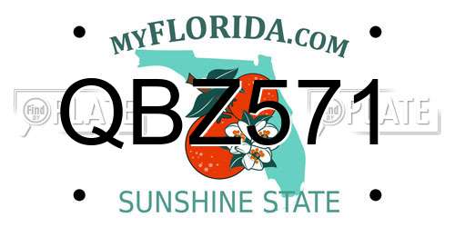 QBZ571 Florida License Plate