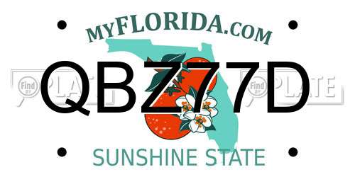 QBZ77D Florida License Plate