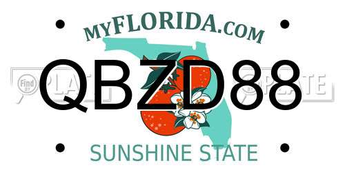QBZD88 Florida License Plate