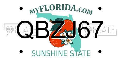 QBZJ67 Florida License Plate