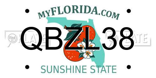 QBZL38 Florida License Plate