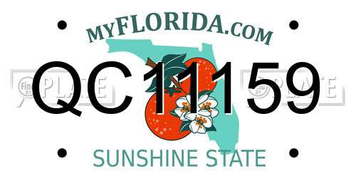 QC11159 Florida License Plate