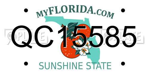 QC15585 Florida License Plate