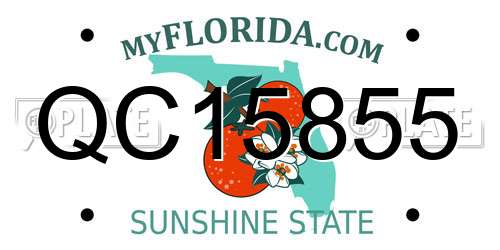 QC15855 Florida License Plate