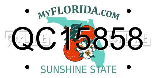 QC15858 Florida License Plate