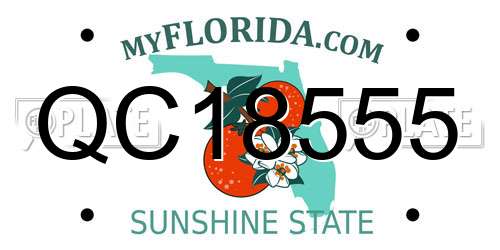 QC18555 Florida License Plate