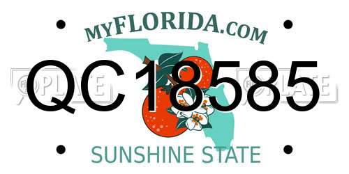 QC18585 Florida License Plate