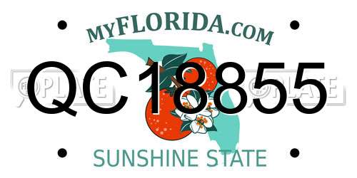 QC18855 Florida License Plate